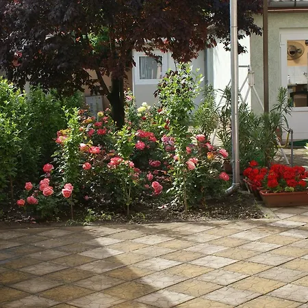 Rona Vendeghaz Gæstehus 3*