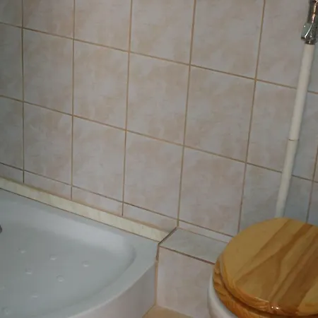 Rona Vendeghaz Gasthuis *